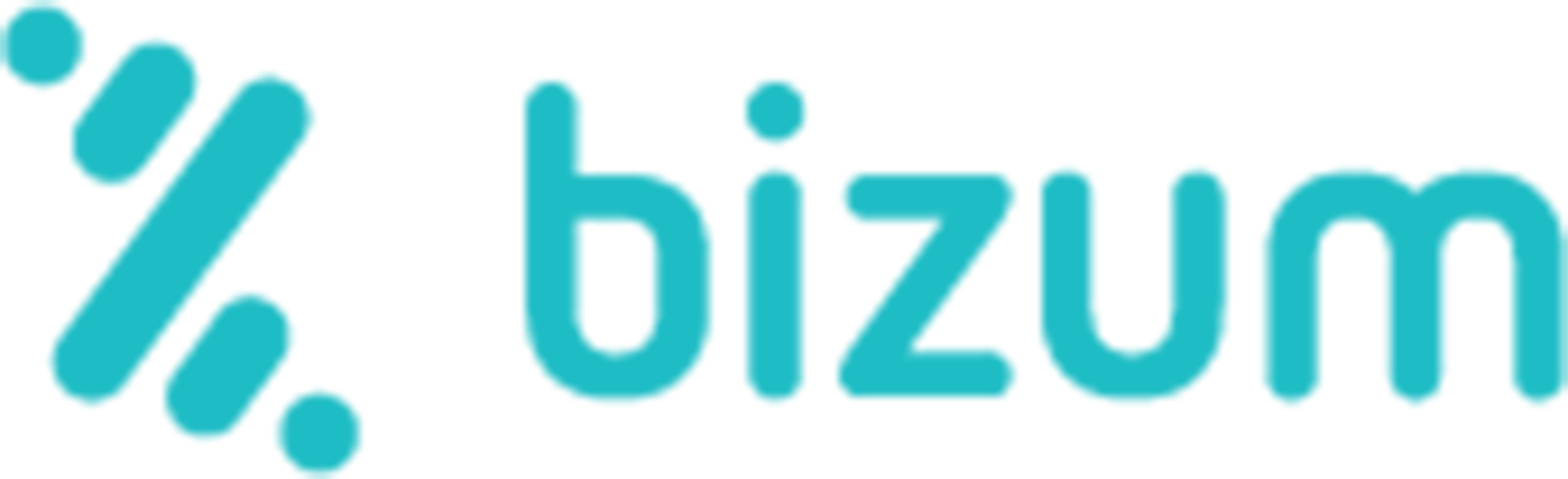 bizum Logo